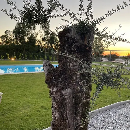 Chale Da Raposa * Vieira do Minho