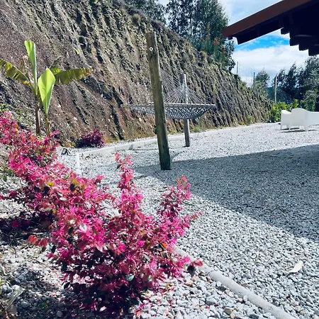 Chale Da Raposa Vieira do Minho