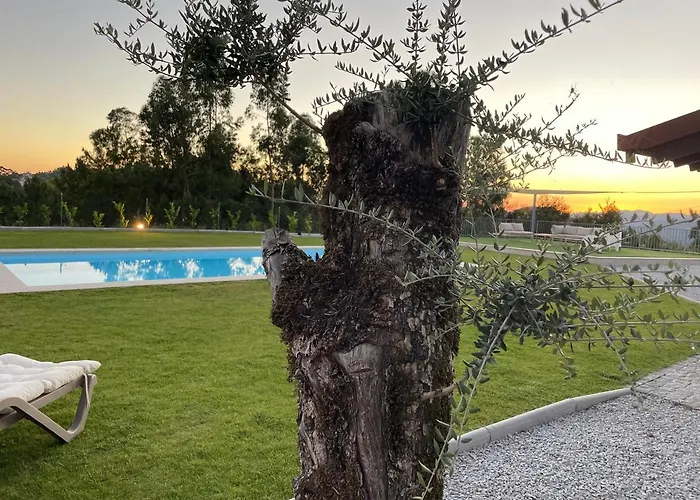 Chale Da Raposa * Виейра-ду-Минью